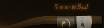 Cadaretta Screenshot