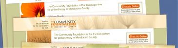Community Foundation of Mendocino County Screenshot