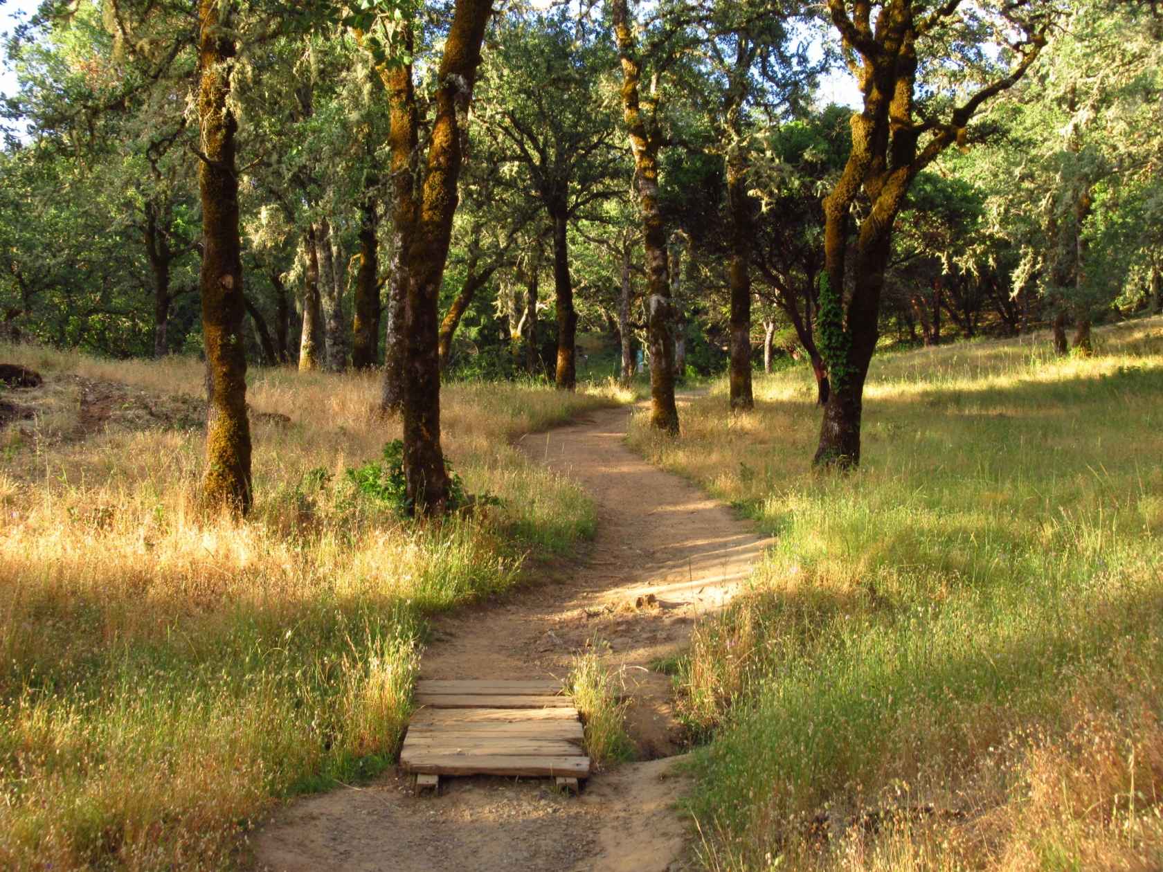 Marc Carson Web Design - Ukiah, California